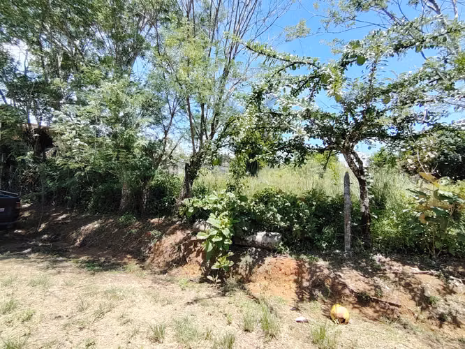 Venta de lote de 762 m2 con uso mixto en Buenos Aires, Puntarenas