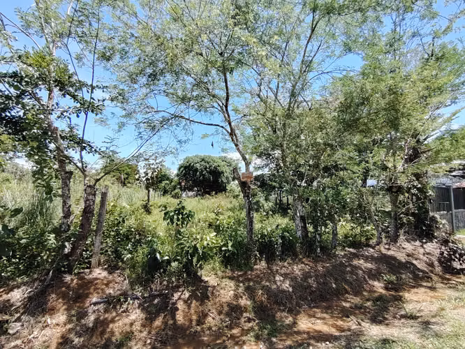 Venta de lote de 762 m2 con uso mixto en Buenos Aires, Puntarenas