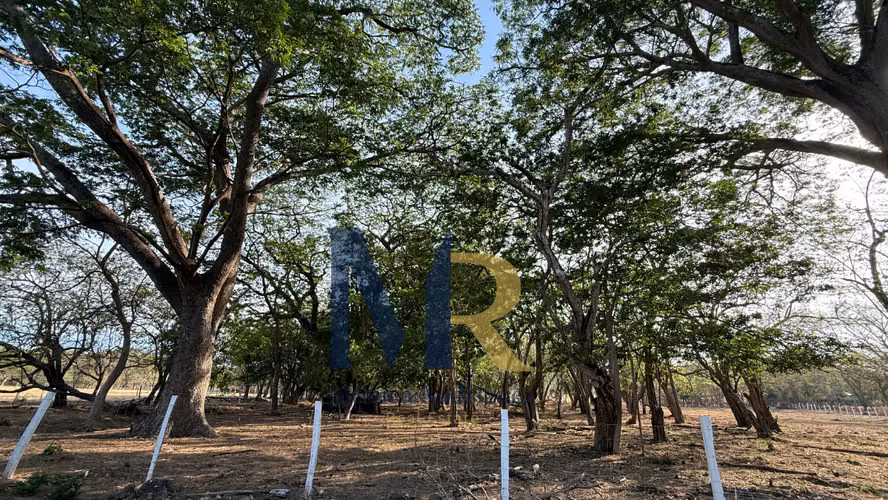 Terrenos cerca de la playa en Guanacaste El Jobo desde 2.352 m²