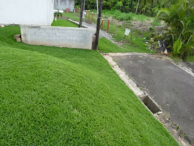 Venta Lote plano de 622 m² en Lomas del Sol, Ciudad Quesada - Imagen 5