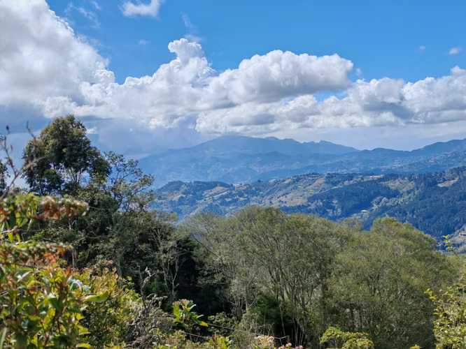 EL CEDRAL, JARDIN DE DOTA 2000 m2 PARA QUINTA -CABAÑA c/ SERVS. 44 millones de col. - Imagen 4