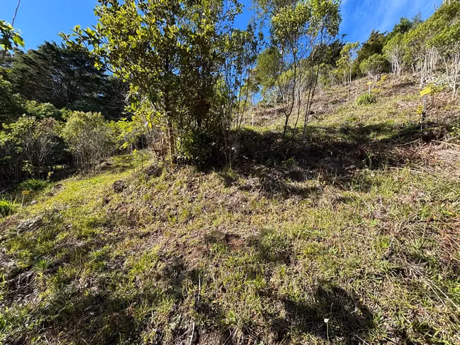 EL CEDRAL, JARDIN DE DOTA 2000 m2 PARA QUINTA -CABAÑA c/ SERVS. 44 millones de col. - Imagen 10