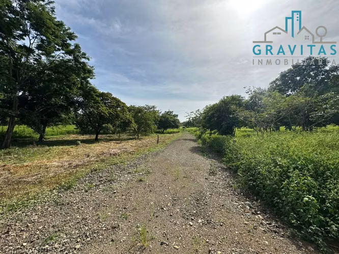 Lotes de 2000m2 y 5000m2 | Playa Negra Guanacaste | ID 1411 - Imagen 17