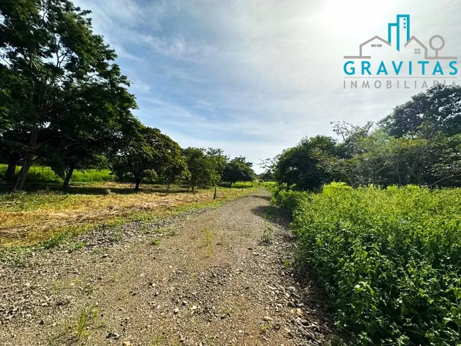 Lotes de 2000m2 y 5000m2 | Playa Negra Guanacaste | ID 1411 - Imagen 9