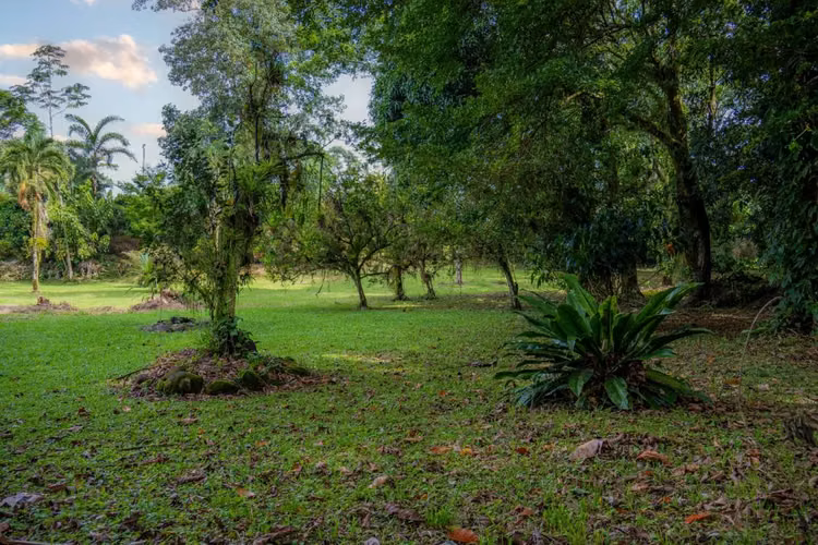 Venta de Terreno en Cubujuquí, Horquetas de Sarapiquí - Imagen 2