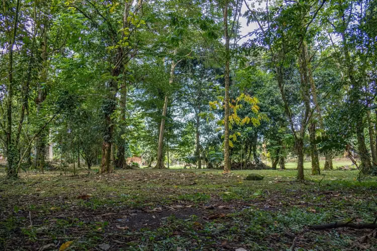 Venta de Terreno en Cubujuquí, Horquetas de Sarapiquí - Imagen 15
