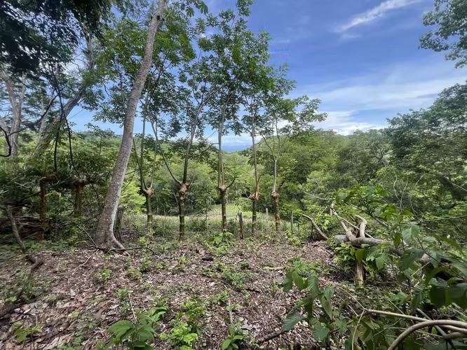 Venta de lote en Esparza Puntarenas