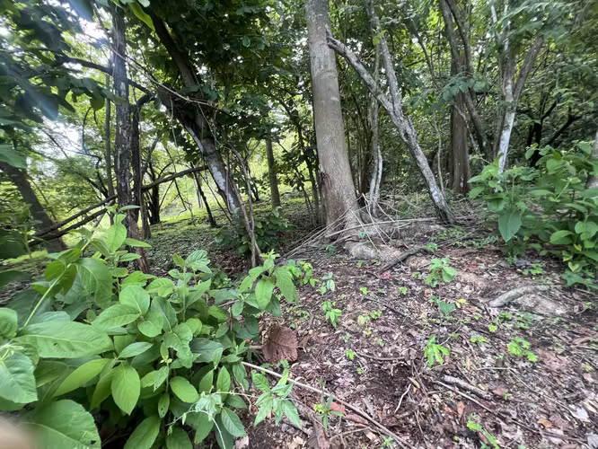 Venta de lote en Esparza Puntarenas