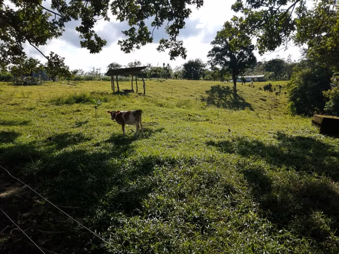 Finca en Nuevo Arenal de Tilarán, Guanacaste