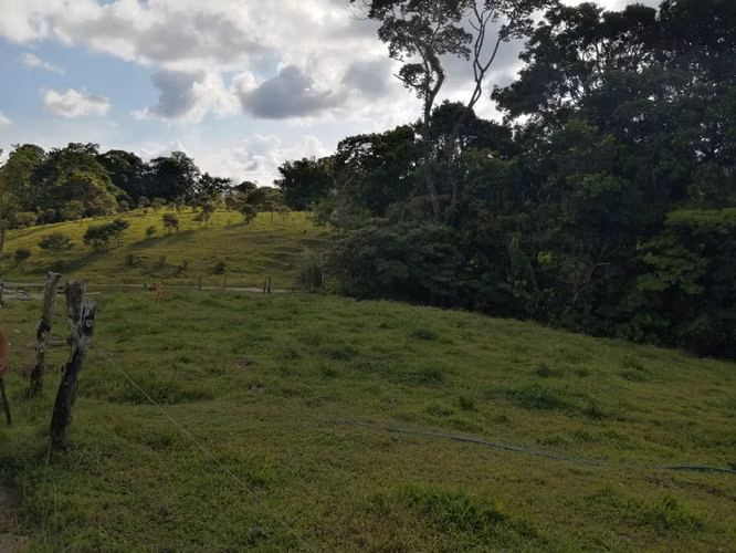 Finca en Nuevo Arenal de Tilarán, Guanacaste