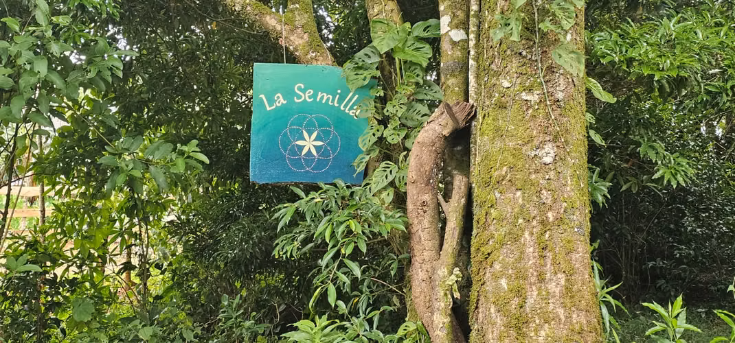 Finca en corredor biológico Montes del Aguacate, San Ramón, Alajuela - Imagen 19