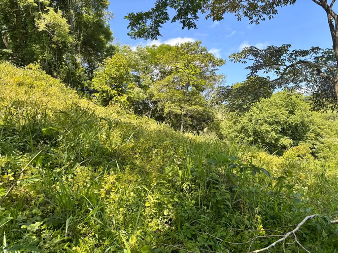 Finca para Ecoturismo en Mansión Nicoya, Guanacaste