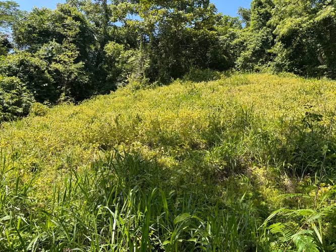 Finca para Ecoturismo en Mansión Nicoya, Guanacaste