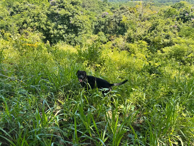 Finca para Ecoturismo en Mansión Nicoya, Guanacaste