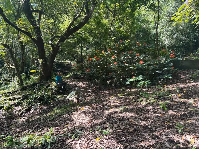 Finca para Ecoturismo en Mansión Nicoya, Guanacaste