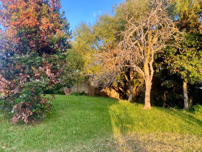 Venta de lote en Urbanización Las Margaritas, Oreamuno de Cartago - Imagen 6