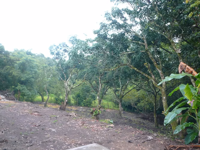 Propiedad con casa en Pan de Azúcar, Atenas, Alajuela