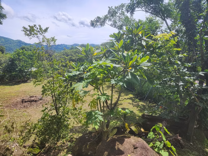 Venta de lote en Basilla de Mora, Picagres, San José - Imagen 12