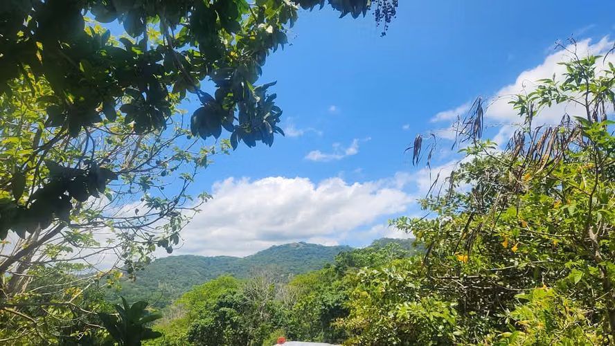 Venta de lote en Basilla de Mora, Picagres, San José - Imagen 3