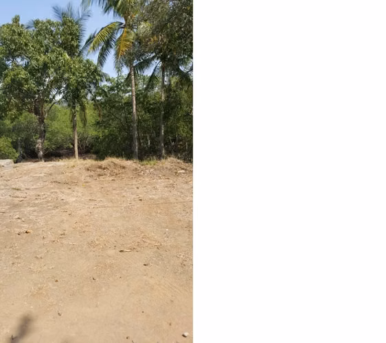 Venta de lote en Mata de Limón, Esparza, Puntarenas - Imagen 10
