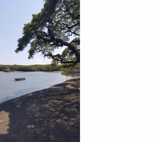 Venta de lote en Mata de Limón, Esparza, Puntarenas - Imagen 5