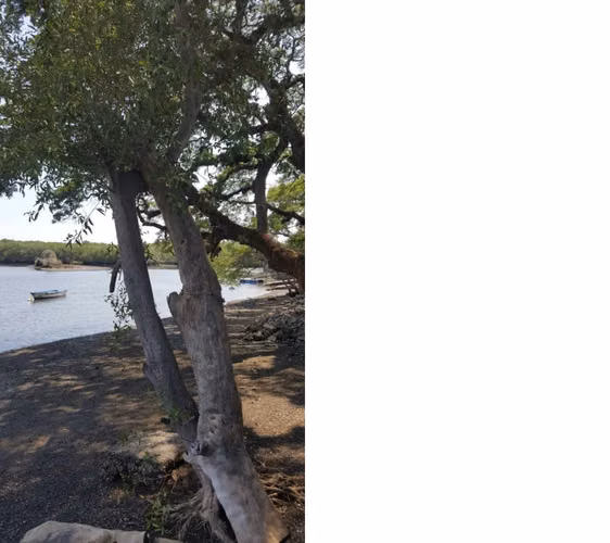 Venta de lote en Mata de Limón, Esparza, Puntarenas - Imagen 2