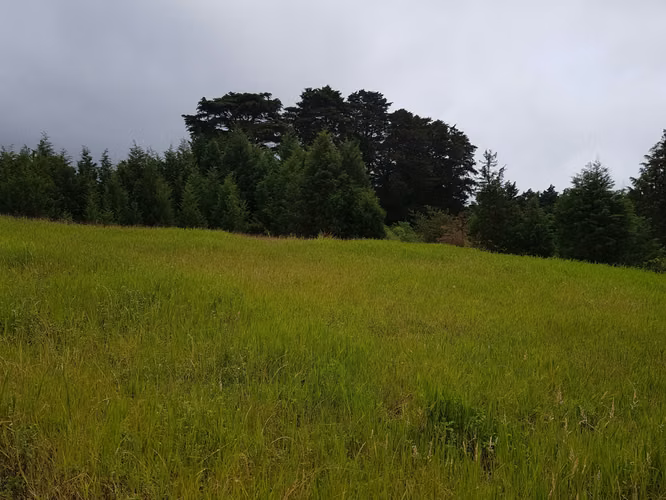 Finca de 1.8 Hectáreas en Concepción de San Rafael, Heredia - Imagen 9