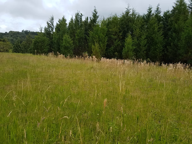 Finca de 1.8 Hectáreas en Concepción de San Rafael, Heredia - Imagen 4