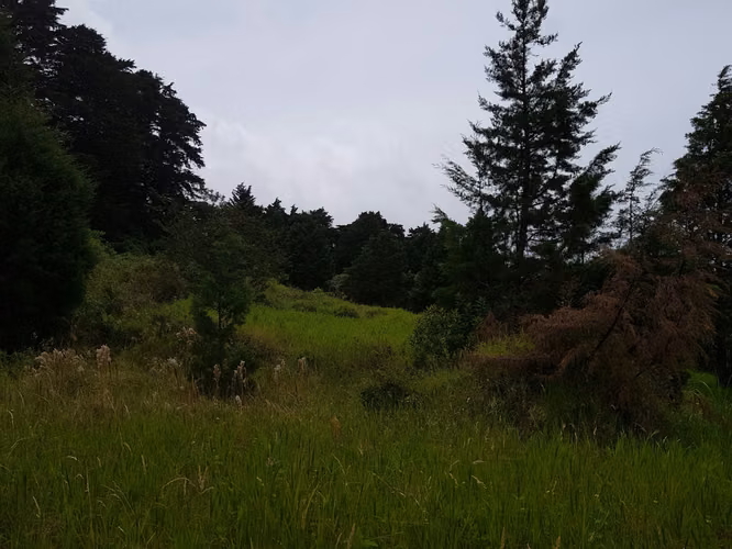 Finca de 1.8 Hectáreas en Concepción de San Rafael, Heredia - Imagen 8