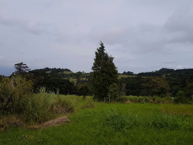 Finca de 1.8 Hectáreas en Concepción de San Rafael, Heredia - Imagen 6
