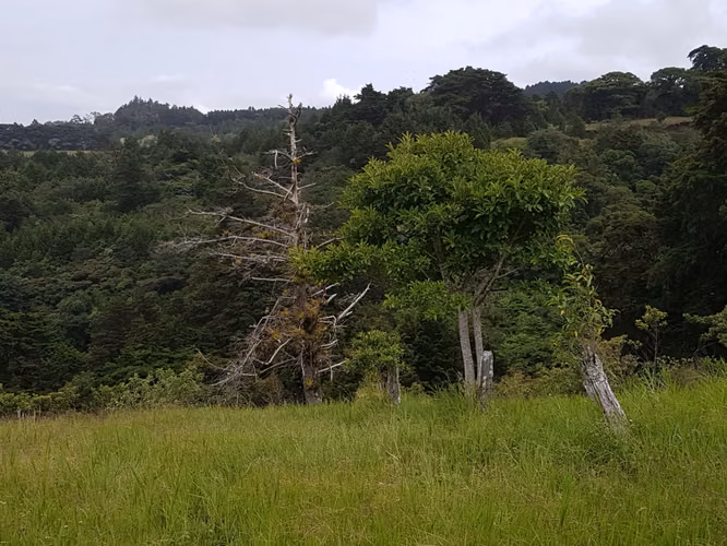 Finca de 1.8 Hectáreas en Concepción de San Rafael, Heredia - Imagen 2