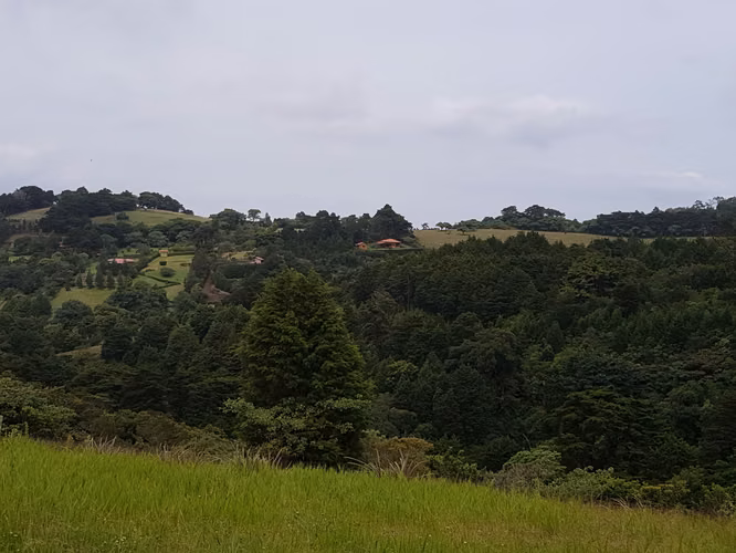 Finca de 1.8 Hectáreas en Concepción de San Rafael, Heredia - Imagen 3