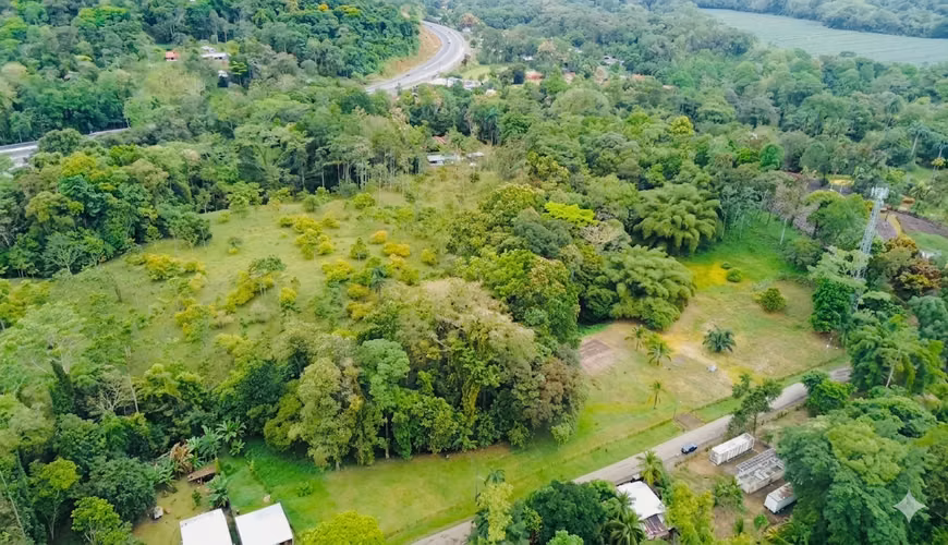 Venta de Lote en Siquirres 16.245m2 - Imagen 11