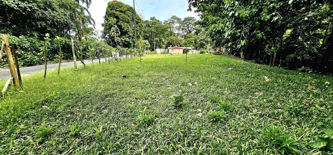 Venta de Lote en Siquirres 16.245m2 - Imagen 8