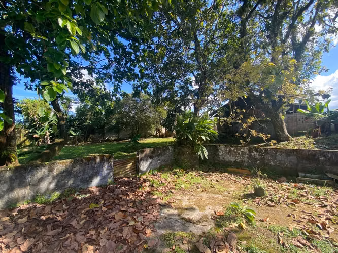Vendo casa en Guápiles, en Residencial Palma Dorada, excelente ubicación - Imagen 18