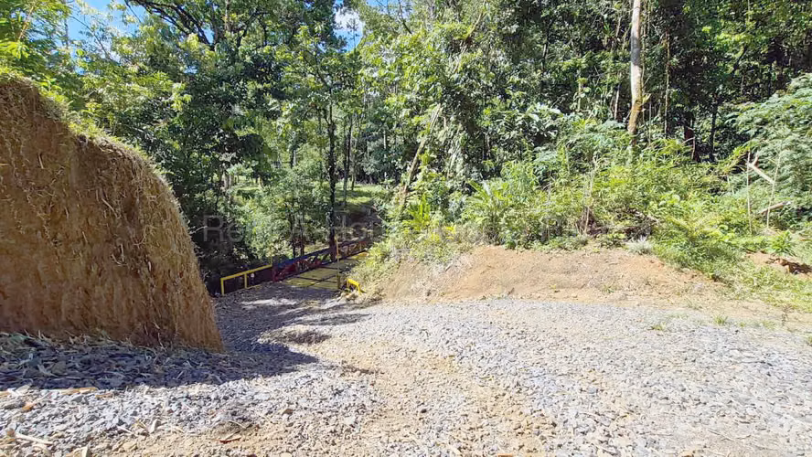 Finca de 6 Hectáreas en Sarapiquí | Naturaleza, Privacidad y Gran Potencial