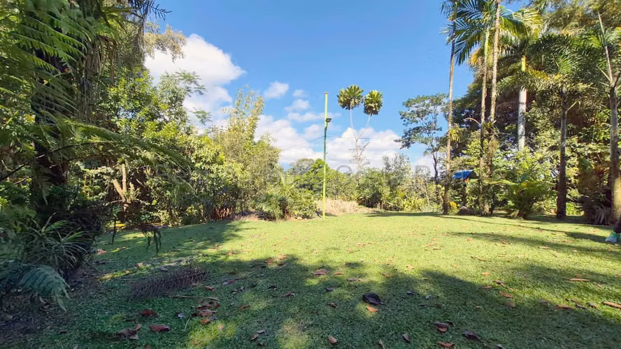 Finca de 6 Hectáreas en Sarapiquí | Naturaleza, Privacidad y Gran Potencial