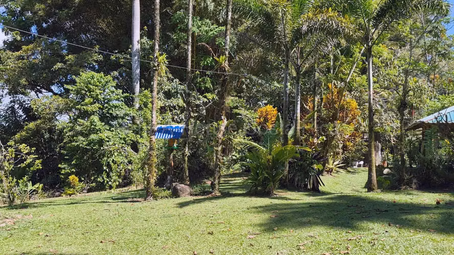 Finca de 6 Hectáreas en Sarapiquí | Naturaleza, Privacidad y Gran Potencial
