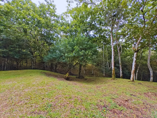 Terreno en venta en Tilaran