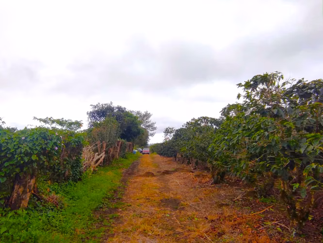 Flat farm for sale in San Isidro de Heredia