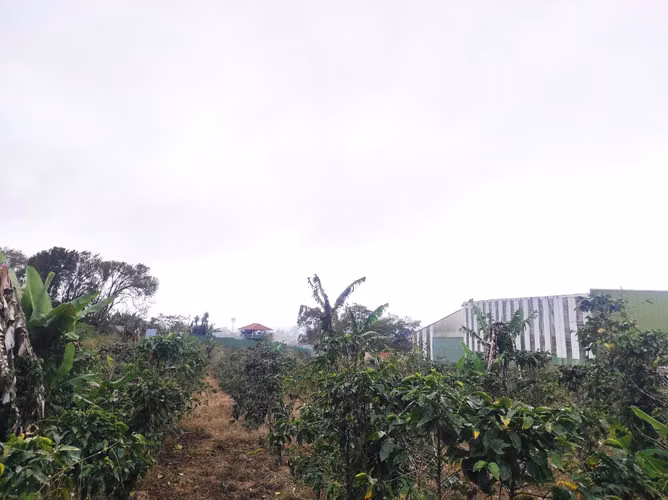 Finca plana a la venta en San Isidro de Heredia