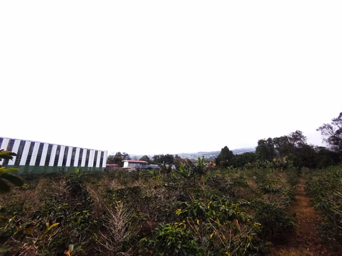 Finca plana a la venta en San Isidro de Heredia