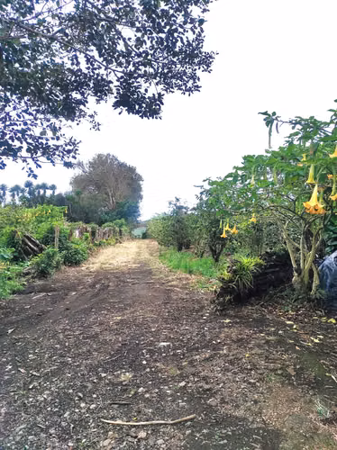 Finca plana a la venta en San Isidro de Heredia