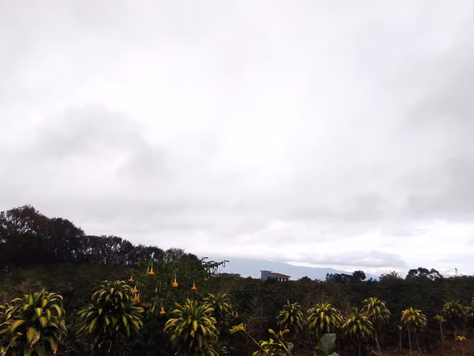 Finca plana a la venta en San Isidro de Heredia