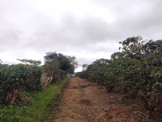 Finca plana a la venta en San Isidro de Heredia