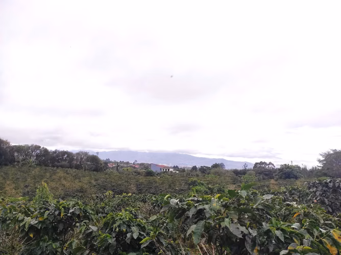 Finca plana a la venta en San Isidro de Heredia