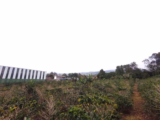 Finca plana a la venta en San Isidro de Heredia