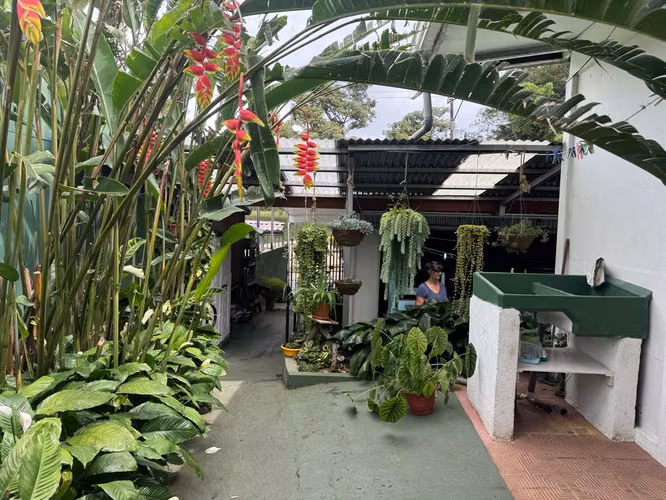 Venta propiedad con 2 casas en San Juan de Santa Bárbara uso mixto - Imagen 10