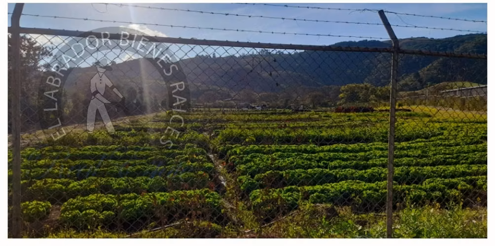 SE VENDE TERRENO INDUSTRIAL EN CARTAGO, COSTA RICA