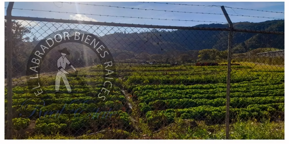 INDUSTRIAL LAND FOR SALE IN CARTAGO.
